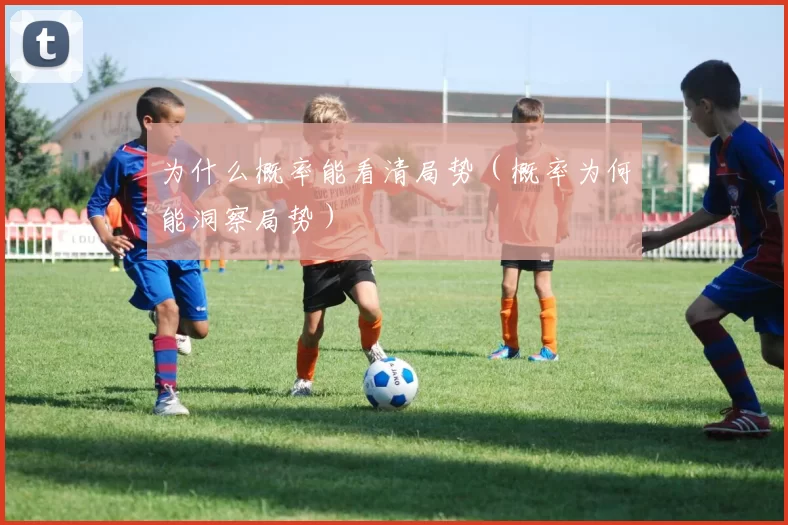 为什么概率能看清局势（概率为何能洞察局势）