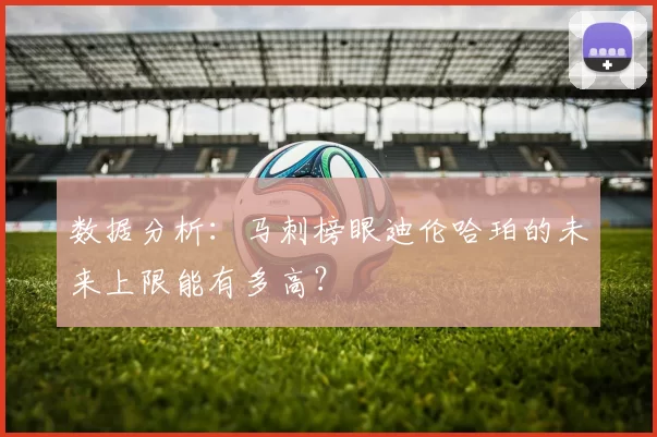 数据分析：马刺榜眼迪伦哈珀的未来上限能有多高？