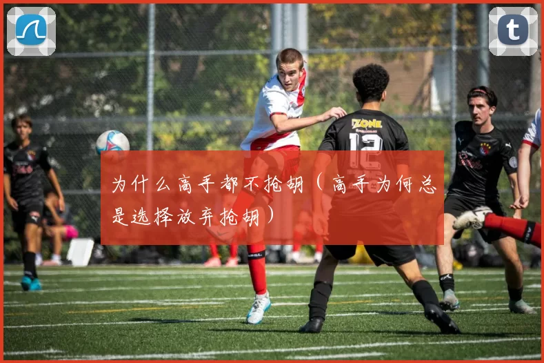 为什么高手都不抢胡（高手为何总是选择放弃抢胡）