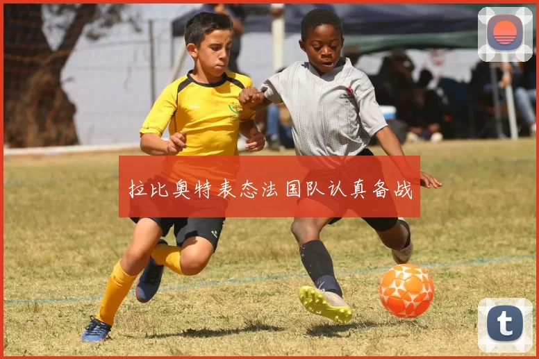 拉比奥特表态法国队认真备战