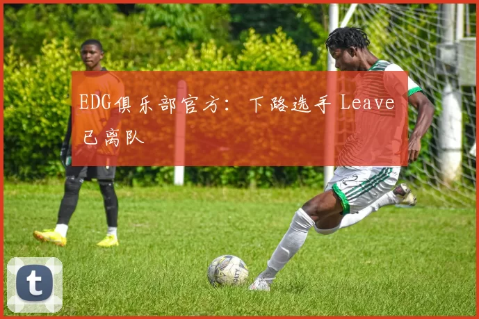 EDG俱乐部官方：下路选手 Leave 已离队