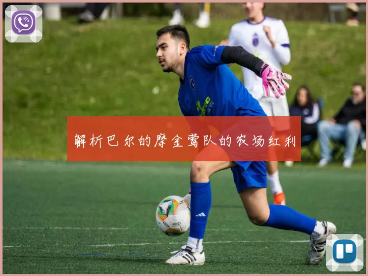 解析巴尔的摩金莺队的农场红利