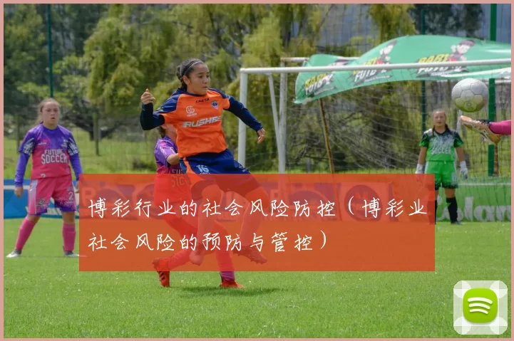 博彩行业的社会风险防控（博彩业社会风险的预防与管控）