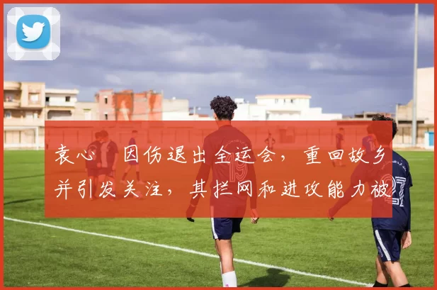 袁心玥因伤退出全运会，重回故乡并引发关注，其拦网和进攻能力被认可，但伤病困扰，中国女排需她保障进攻。