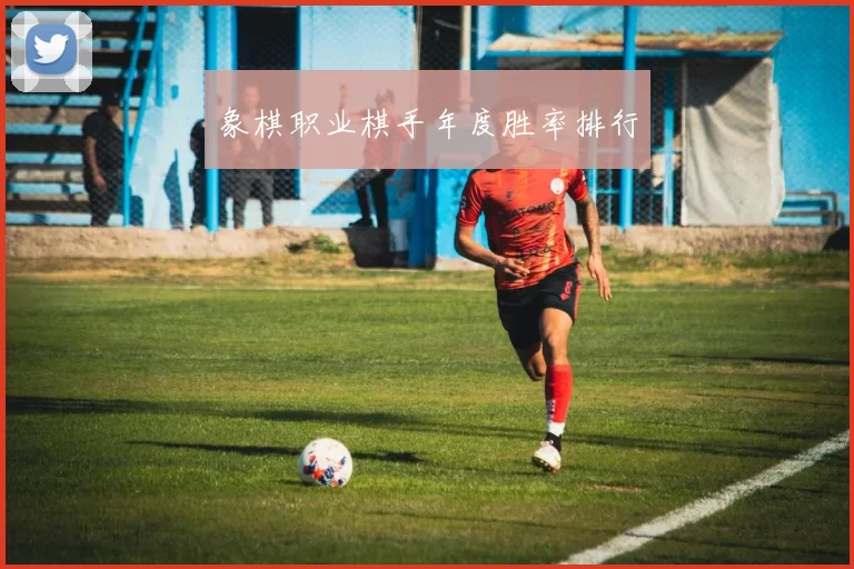 象棋职业棋手年度胜率排行