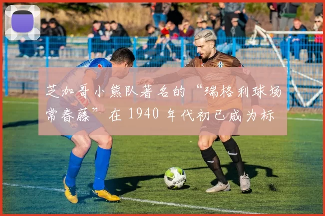 芝加哥小熊队著名的“瑞格利球场常春藤”在 1940 年代初已成为标志性景观