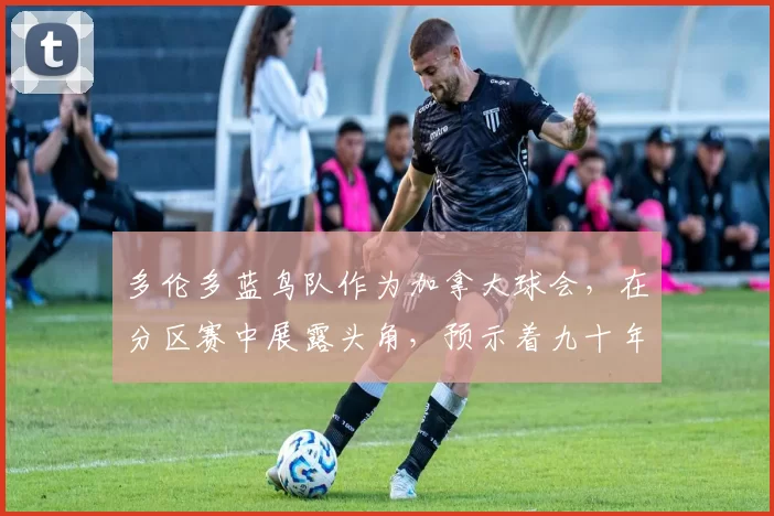 多伦多蓝鸟队作为加拿大球会，在分区赛中展露头角，预示着九十年代的崛起