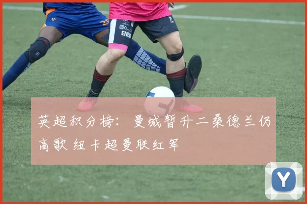 英超积分榜：曼城暂升二桑德兰仍高歌 纽卡超曼联红军