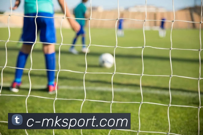 mk体育平台生态图